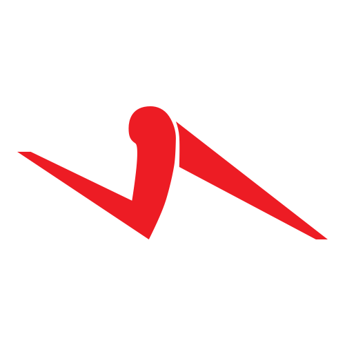 Houston Striders